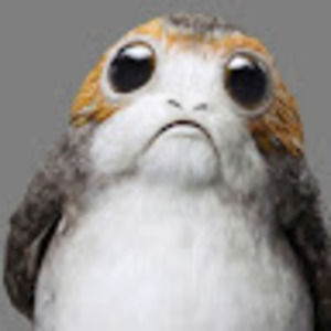 Meet your Posher, Paul